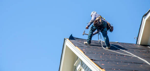 Best Roof Gutter Cleaning  in Mount Airy, NC